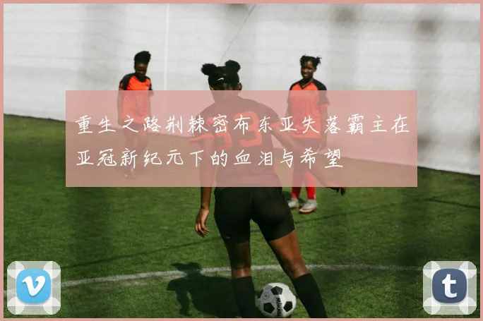 重生之路荆棘密布东亚失落霸主在亚冠新纪元下的血泪与希望