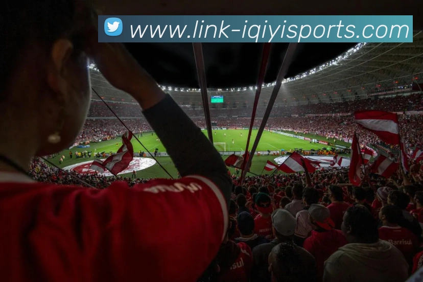 爱奇艺体育服务体系